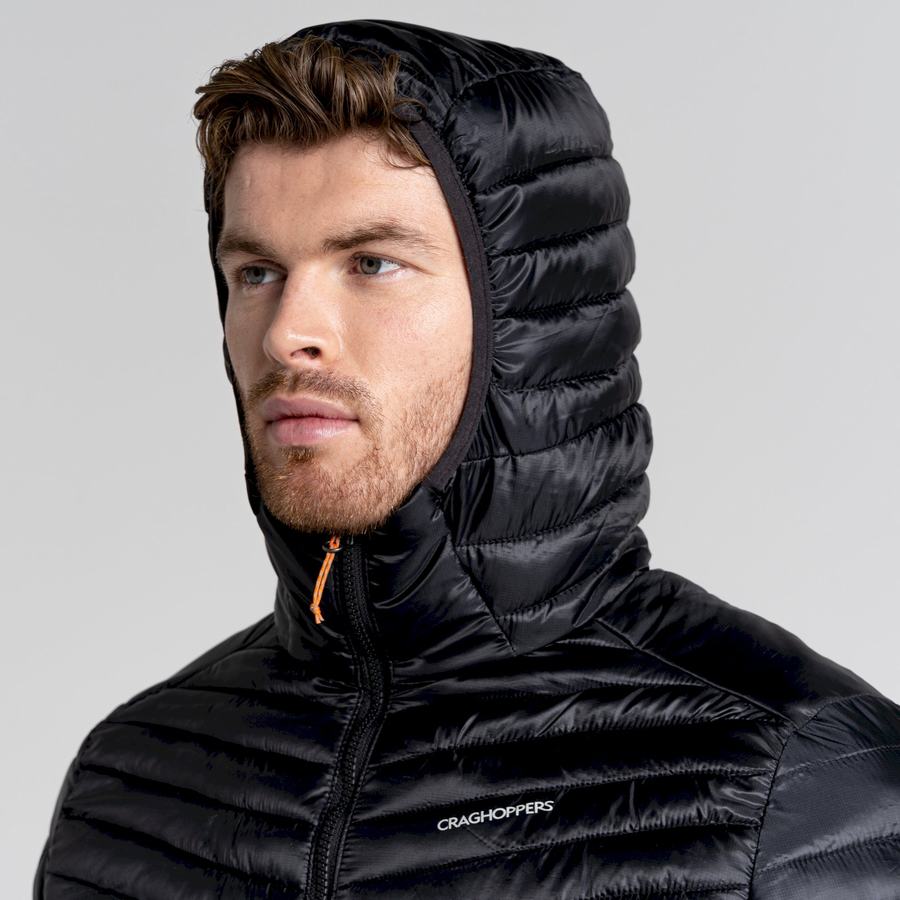 Chaquetas Craghoppers ExpoLite Insulated Encapuchado Hombre Negros | VHW1796BT