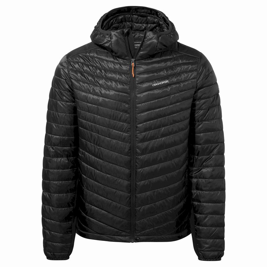 Chaquetas Craghoppers ExpoLite Insulated Encapuchado Hombre Negros | VHW1796BT