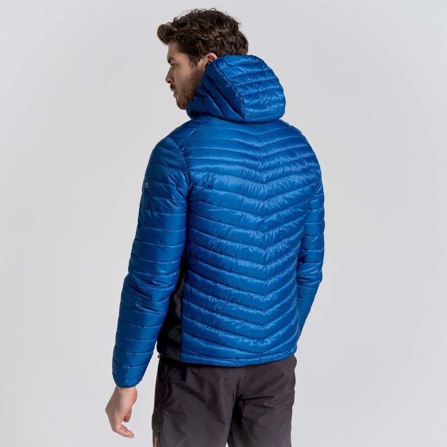 Chaquetas Craghoppers ExpoLite Insulated Encapuchado Hombre Azules | YRR9722JG