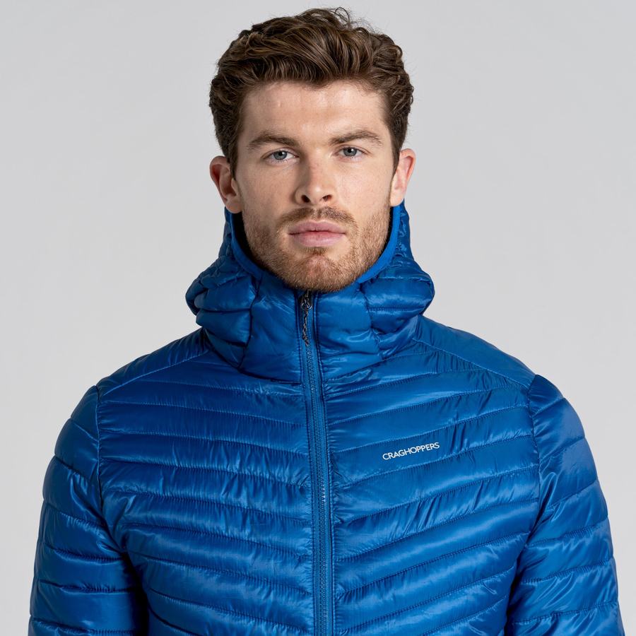 Chaquetas Craghoppers ExpoLite Insulated Encapuchado Hombre Azules | YRR9722JG