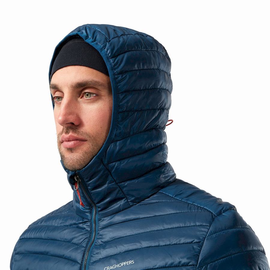 Chaquetas Craghoppers Insulated ExpoLite Encapuchado Hombre Azul Marino Azules | QZI523WA