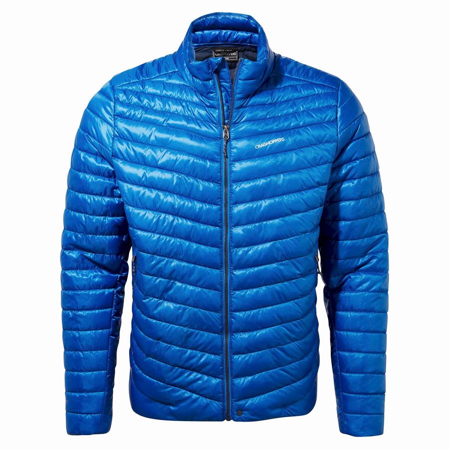 Chaquetas Craghoppers Insulated ExpoLite Hombre Azules | YRN3067UV