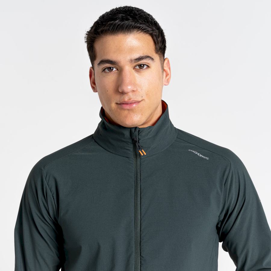 Chaquetas Craghoppers NosiLife Active Hombre Verdes | VMZ6539EN