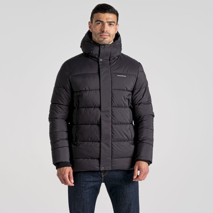 Chaquetas Craghoppers Sutherland Insulated Encapuchado Hombre Negros | UQN3886UC