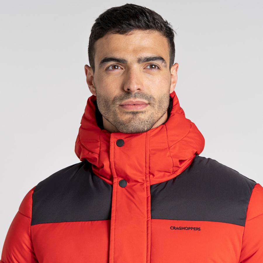 Chaquetas Craghoppers Sutherland Insulated Encapuchado Hombre Rojos Negros | XPF4014ZD