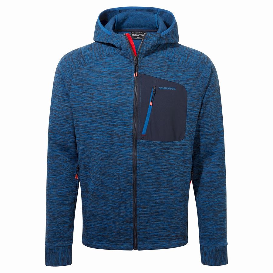 Chaquetas Craghoppers Tarbert Encapuchado Hombre Azules | NTL10096AK