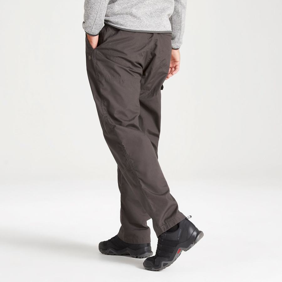 Pantalones Craghoppers Kiwi Classic Hombre Grises | ONW1771ZC