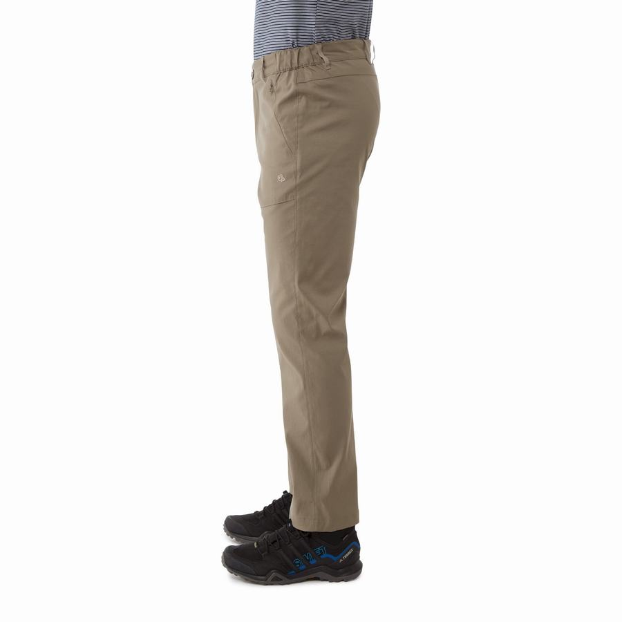 Pantalones Craghoppers Kiwi Pro II Hombre Kaki | KDU6667KB