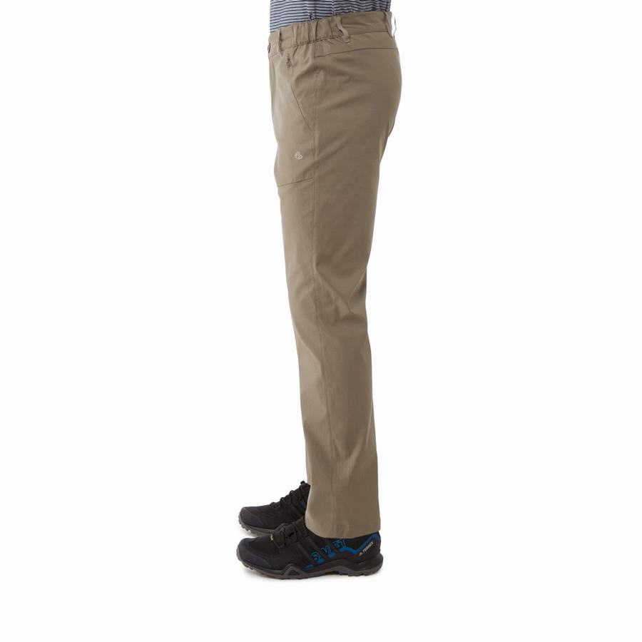 Pantalones Craghoppers Kiwi Pro II Hombre Kaki | PTL4789HC