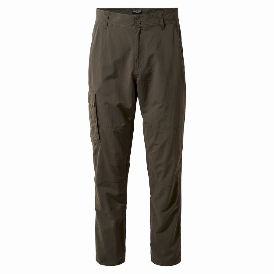 Pantalones Craghoppers NosiLife Branco Hombre Verdes | KFN5365MR