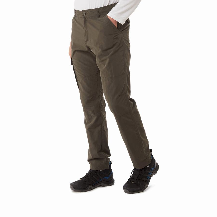 Pantalones Craghoppers NosiLife Branco Hombre Verdes | KFN5365MR